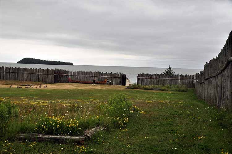 fenced yard